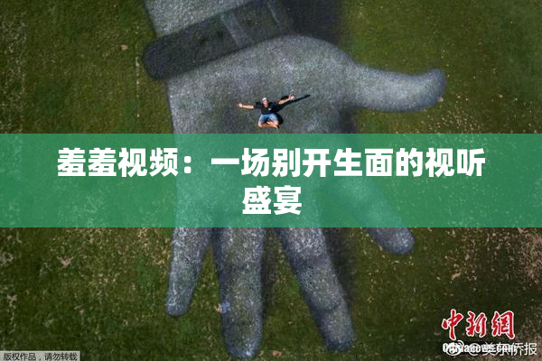 羞羞视频：一场别开生面的视听盛宴