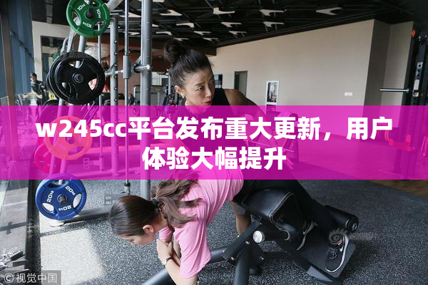 w245cc平台发布重大更新，用户体验大幅提升