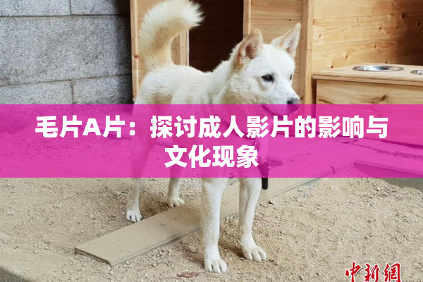 毛片A片：探讨成人影片的影响与文化现象
