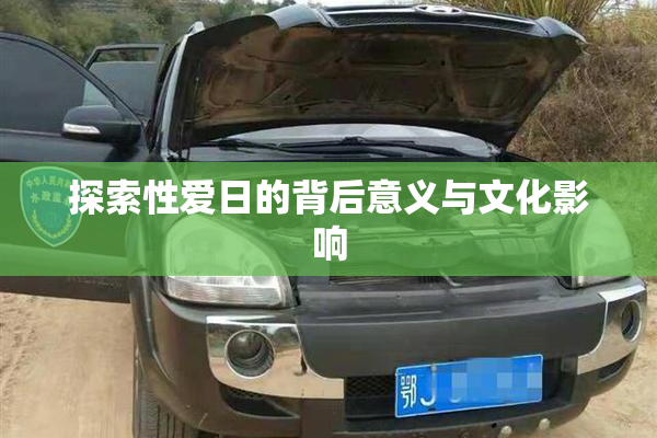 探索性爱日的背后意义与文化影响