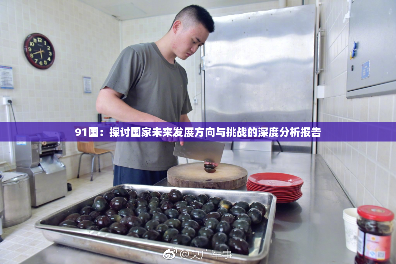 91国：探讨国家未来发展方向与挑战的深度分析报告