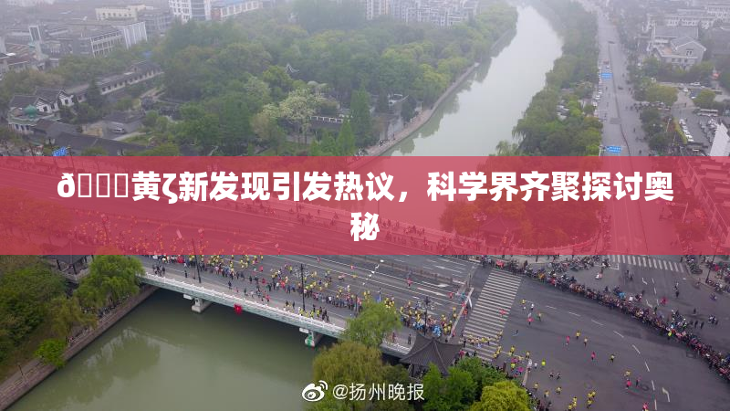 🔞黄ζ新发现引发热议，科学界齐聚探讨奥秘