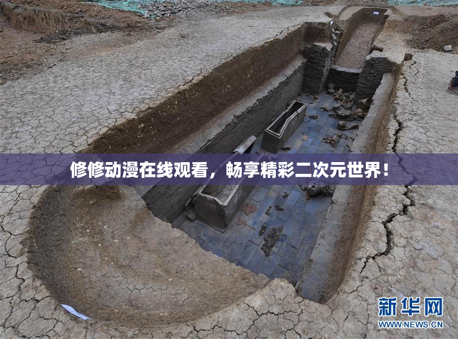 修修动漫在线观看，畅享精彩二次元世界！