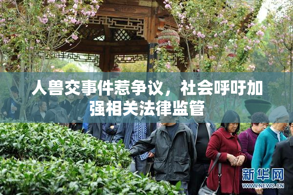 人兽交事件惹争议，社会呼吁加强相关法律监管