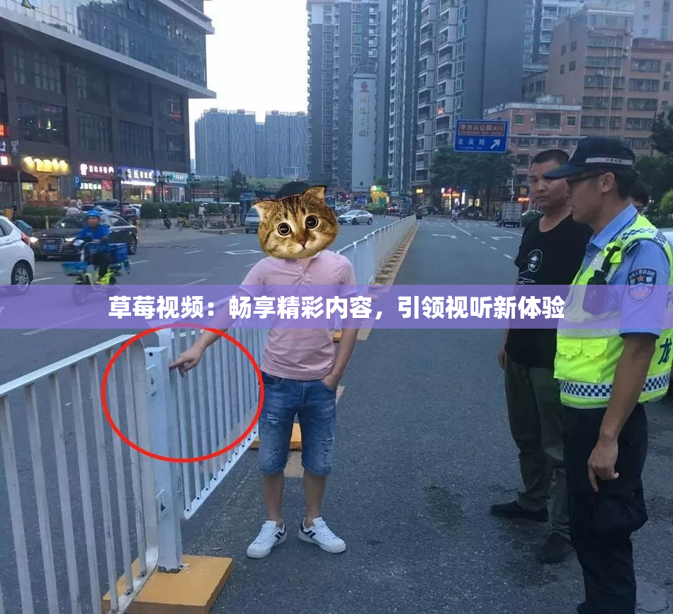 草莓视频：畅享精彩内容，引领视听新体验