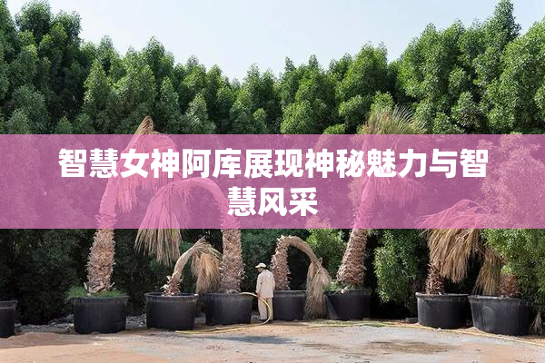 智慧女神阿库展现神秘魅力与智慧风采
