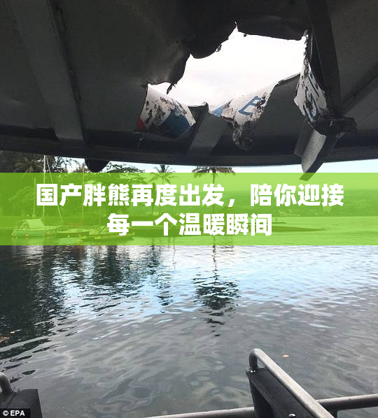 国产胖熊再度出发，陪你迎接每一个温暖瞬间