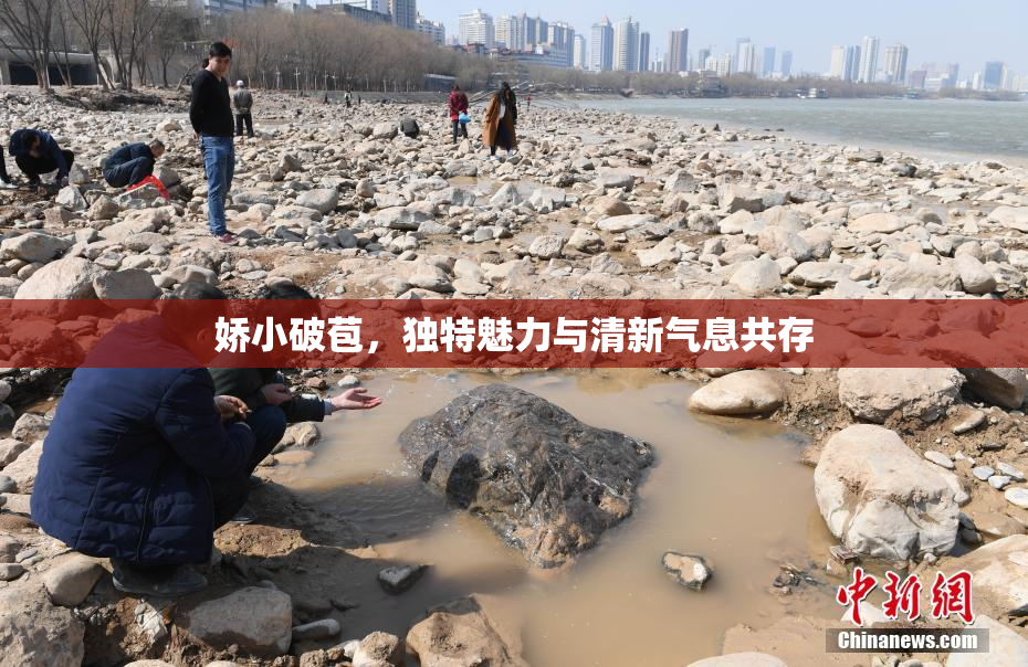 娇小破苞，独特魅力与清新气息共存