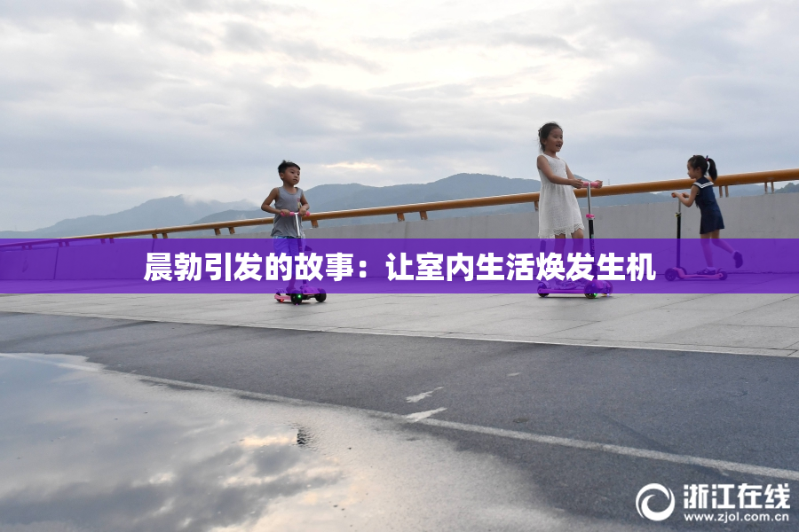 晨勃引发的故事：让室内生活焕发生机