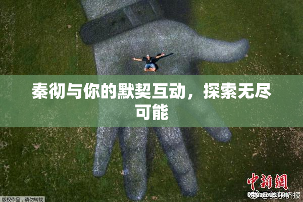 秦彻与你的默契互动，探索无尽可能