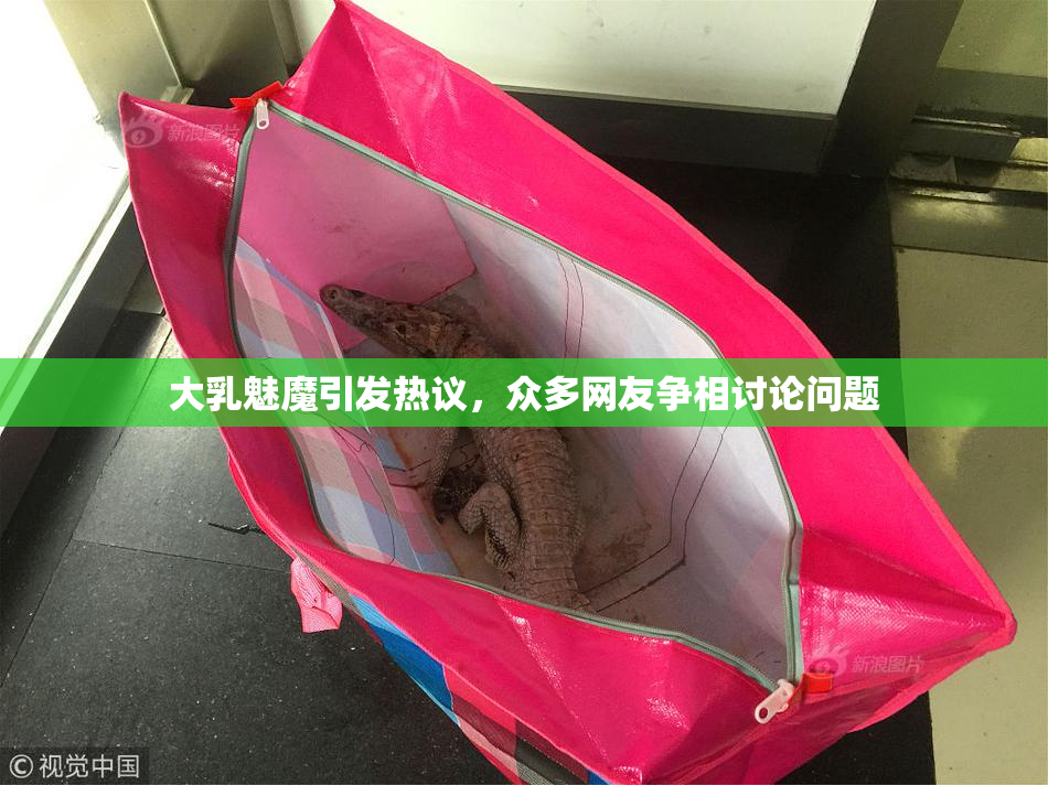 大乳魅魔引发热议，众多网友争相讨论问题
