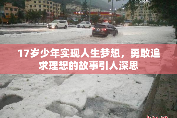 17岁少年实现人生梦想，勇敢追求理想的故事引人深思