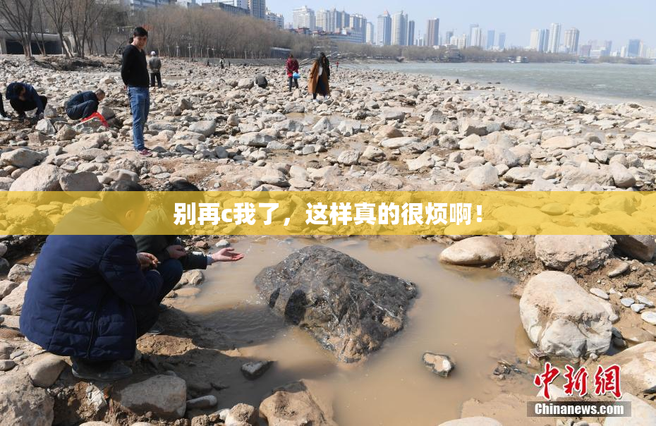 别再c我了，这样真的很烦啊！
