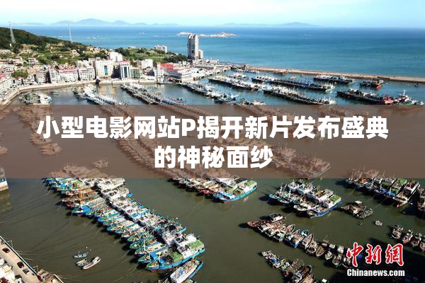 小型电影网站P揭开新片发布盛典的神秘面纱
