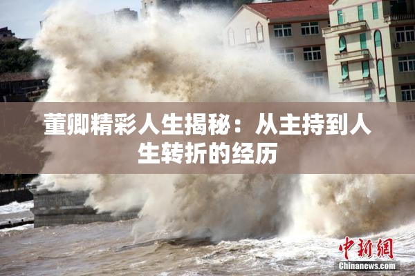 董卿精彩人生揭秘：从主持到人生转折的经历