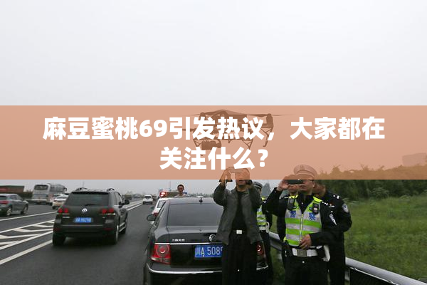 麻豆蜜桃69引发热议，大家都在关注什么？