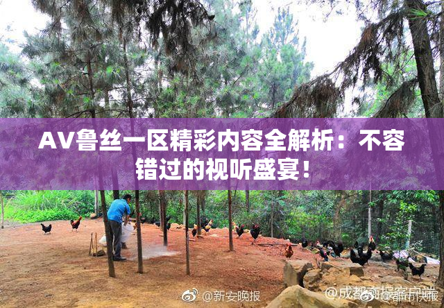 AV鲁丝一区精彩内容全解析：不容错过的视听盛宴！