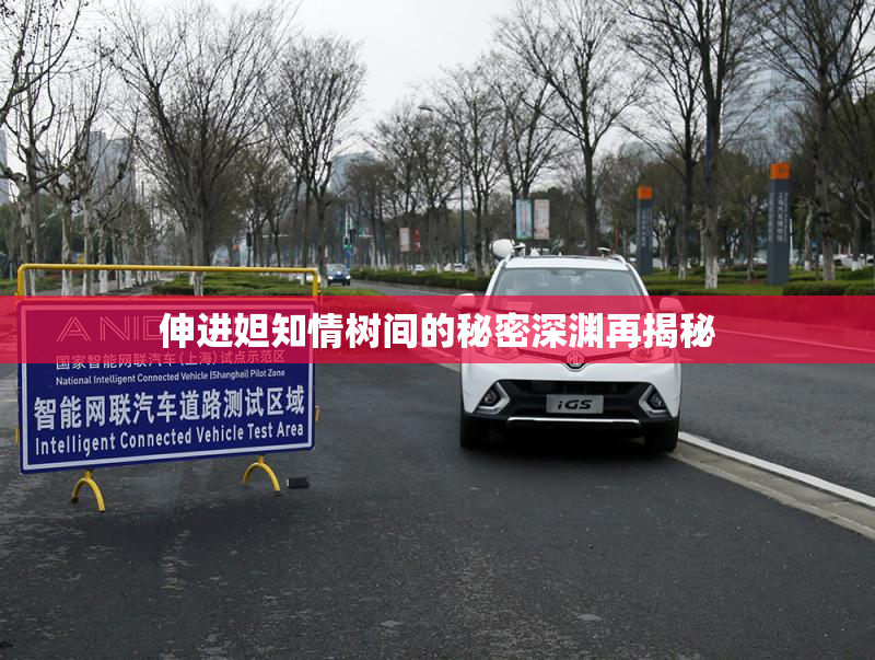 伸进妲知情树间的秘密深渊再揭秘