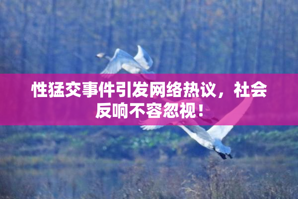 性猛交事件引发网络热议，社会反响不容忽视！