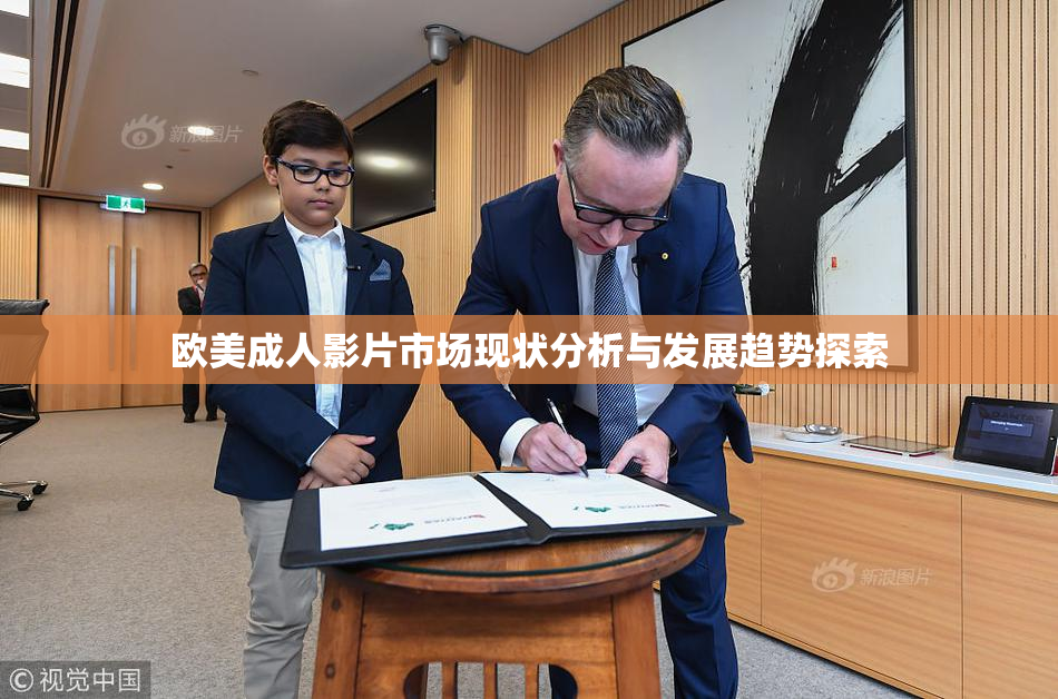 欧美成人影片市场现状分析与发展趋势探索