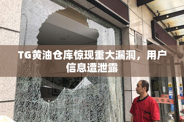 TG黄油仓库惊现重大漏洞，用户信息遭泄露