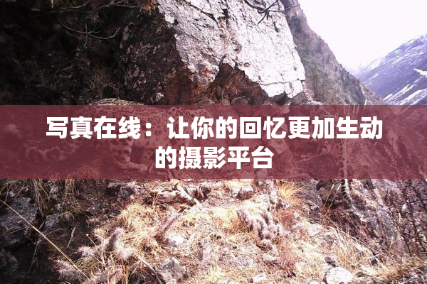 写真在线：让你的回忆更加生动的摄影平台