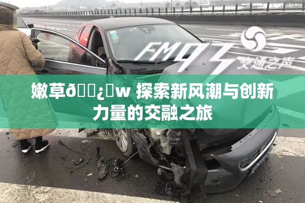 嫩草🌿‌w 探索新风潮与创新力量的交融之旅