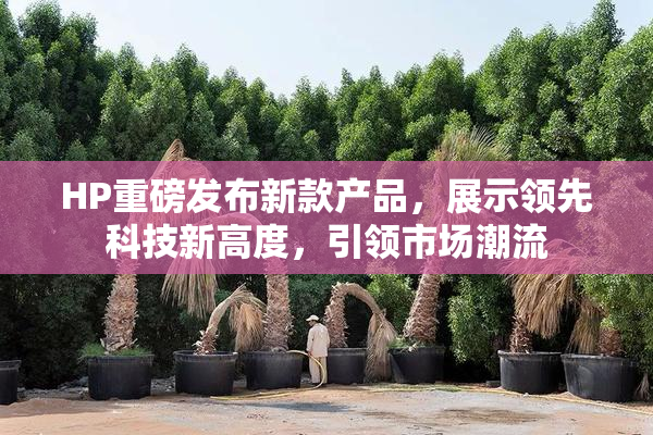 HP重磅发布新款产品，展示领先科技新高度，引领市场潮流