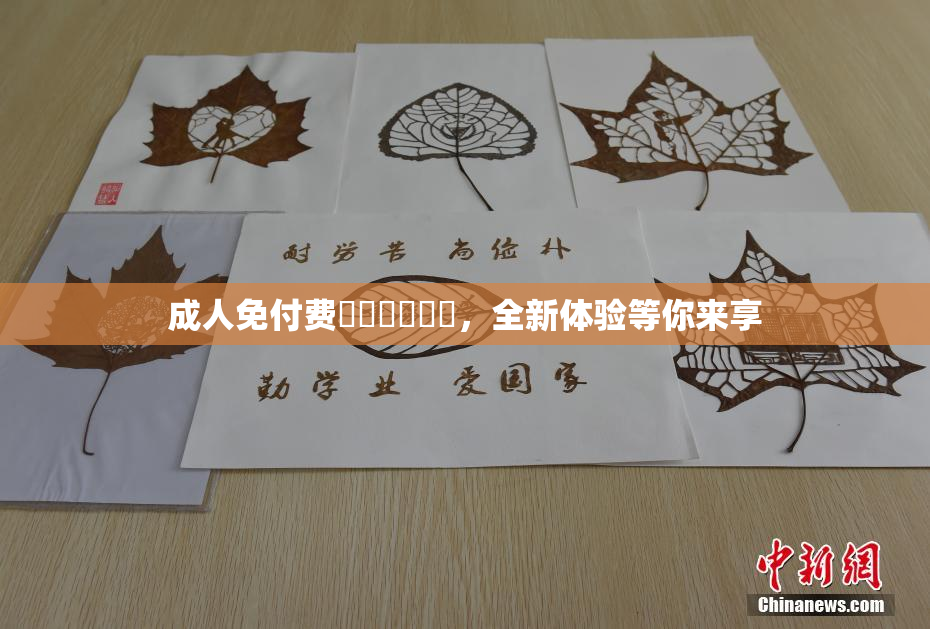 成人免付费❌‌❌‌❌‌，全新体验等你来享