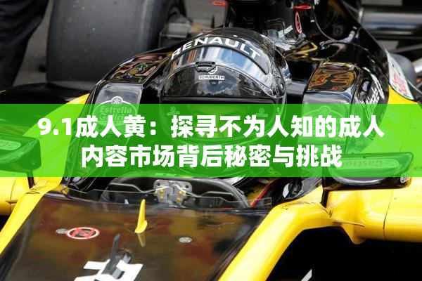 9.1成人黄：探寻不为人知的成人内容市场背后秘密与挑战