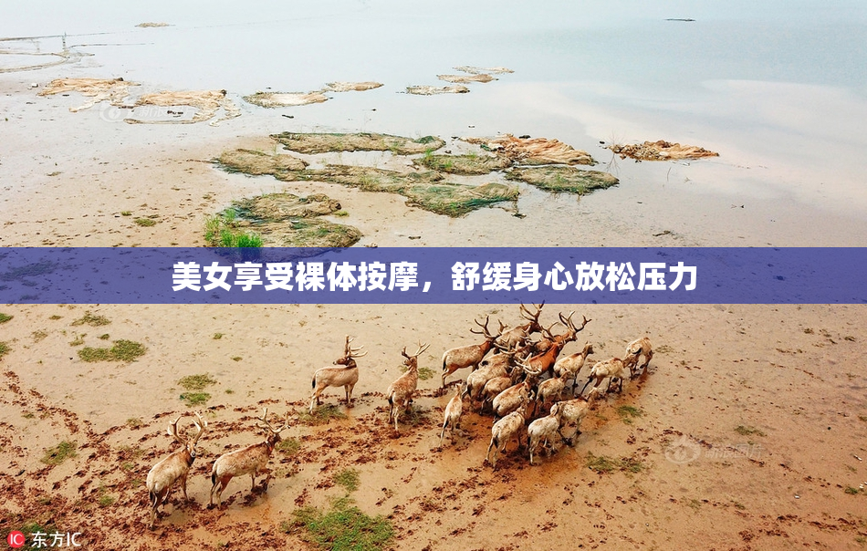美女享受裸体按摩，舒缓身心放松压力