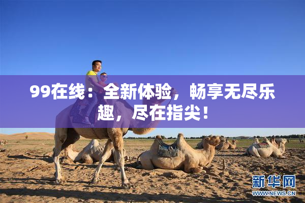 99在线：全新体验，畅享无尽乐趣，尽在指尖！