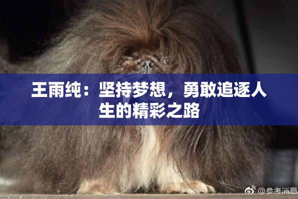 王雨纯：坚持梦想，勇敢追逐人生的精彩之路