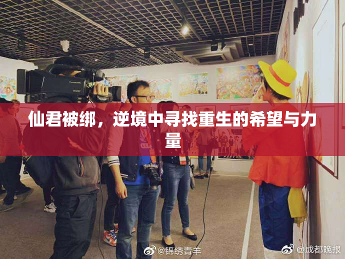 仙君被绑，逆境中寻找重生的希望与力量