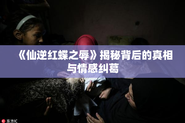 《仙逆红蝶之辱》揭秘背后的真相与情感纠葛