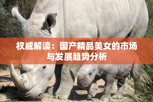 权威解读：国产精品美女的市场与发展趋势分析