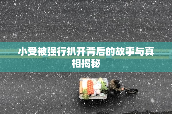 小受被强行扒开背后的故事与真相揭秘