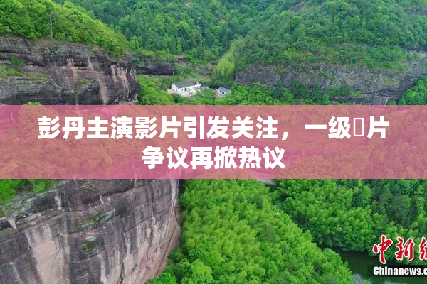 彭丹主演影片引发关注，一级婬片争议再掀热议
