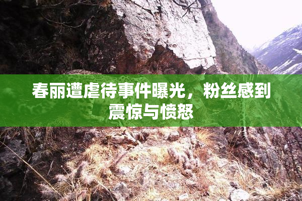 春丽遭虐待事件曝光，粉丝感到震惊与愤怒