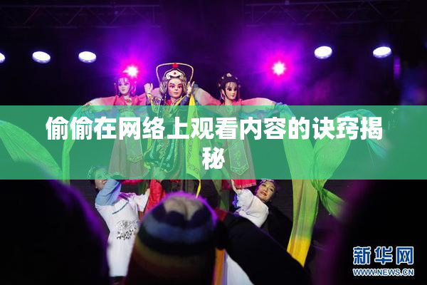 偷偷在网络上观看内容的诀窍揭秘