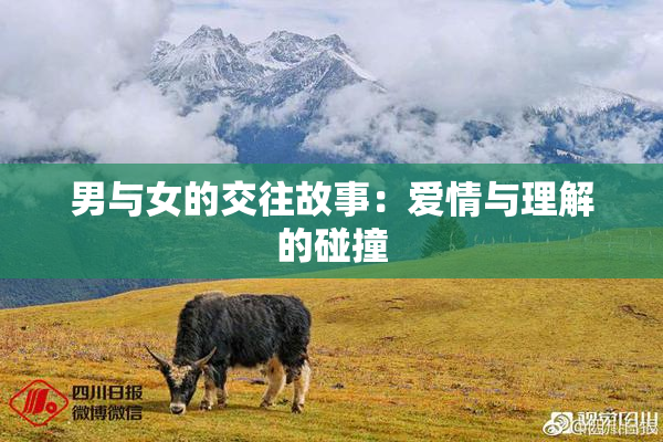 男与女的交往故事：爱情与理解的碰撞