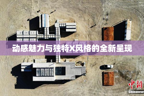 动感魅力与独特X风格的全新呈现