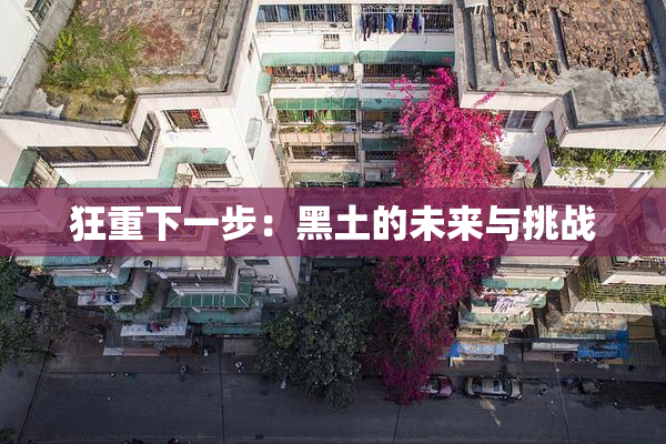 狂重下一步：黑土的未来与挑战