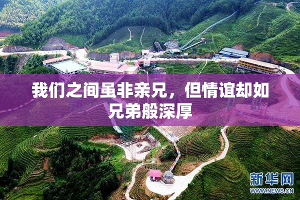 我们之间虽非亲兄，但情谊却如兄弟般深厚