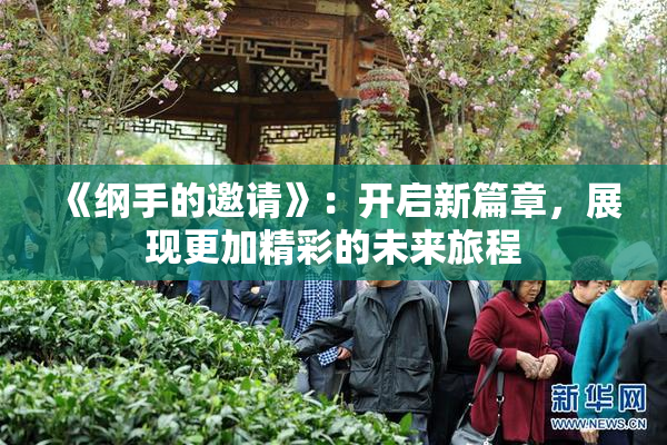 《纲手的邀请》：开启新篇章，展现更加精彩的未来旅程