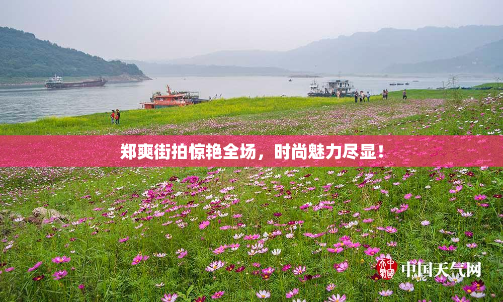 郑爽街拍惊艳全场，时尚魅力尽显！