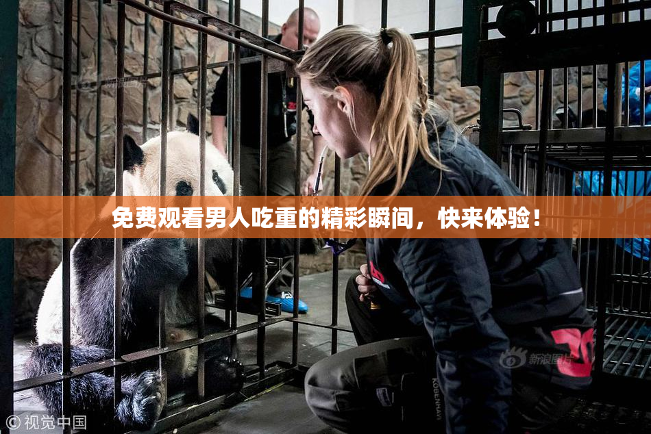 免费观看男人吃重的精彩瞬间，快来体验！