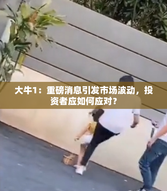 大牛1：重磅消息引发市场波动，投资者应如何应对？