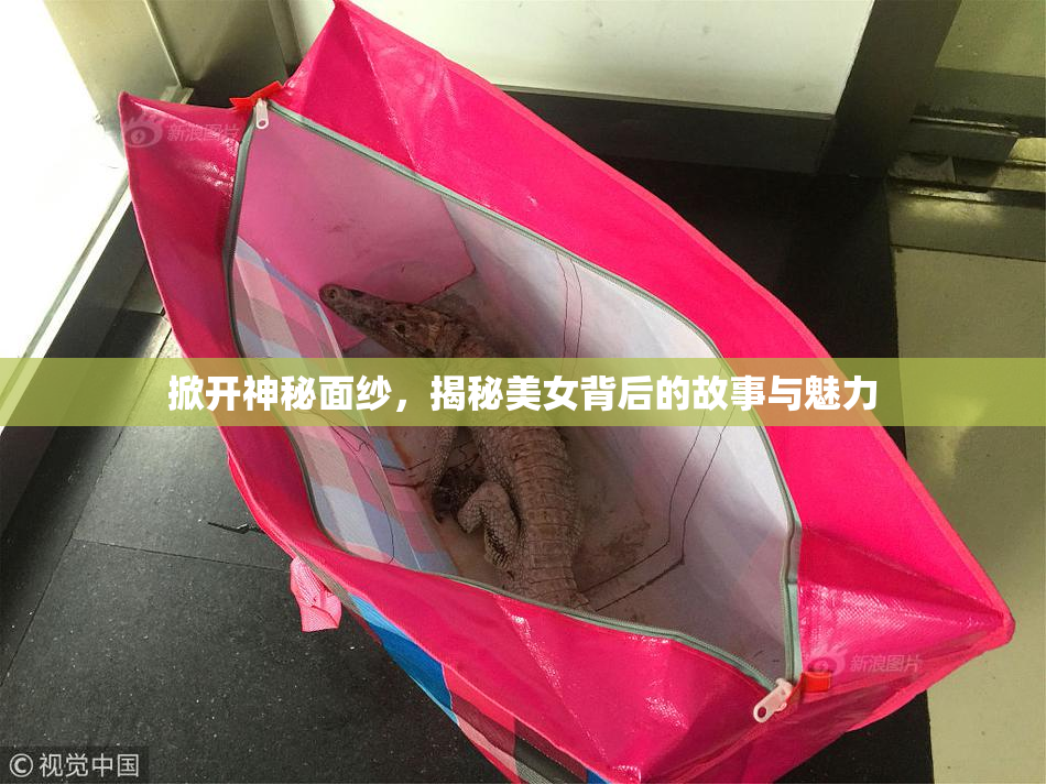 掀开神秘面纱，揭秘美女背后的故事与魅力