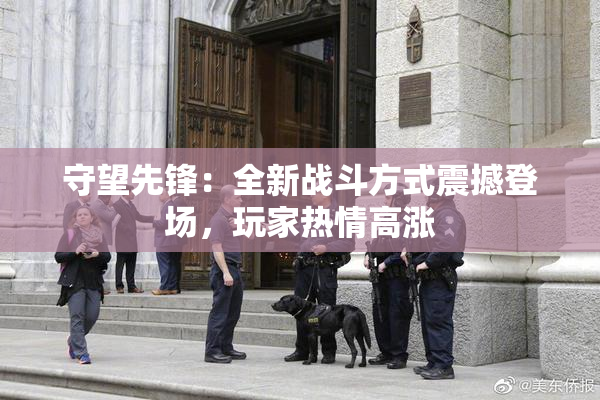 守望先锋：全新战斗方式震撼登场，玩家热情高涨